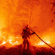 A firefighter douses flames as they push towards homes during the Creek Fire.